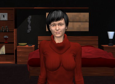 A night with Sara (Adult game)